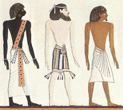 أعراق مصرية