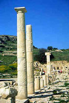 Amathus Amathus