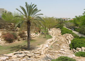 Beersheba Beersheba