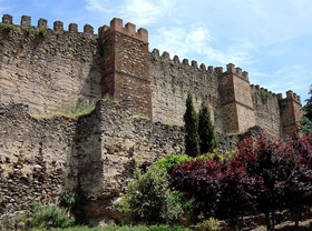 Buitrago Buitrago