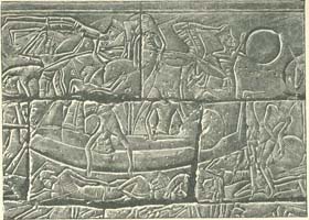 Battle of Djahy (1178 BC) Battle of Djahy (1178 BC)