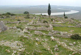 Lixus Lixus
