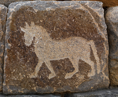 Najran Najran