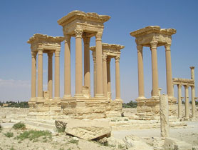 Palmyra Palmyra