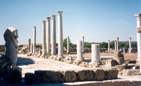 Salamis Salamis