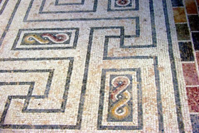 Thapsus Thapsus