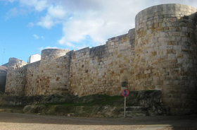 Zamora Zamora