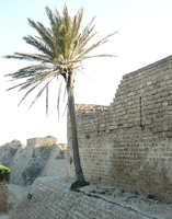 Caesarea Caesarea