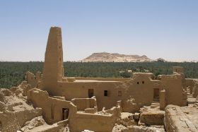 Siwa/ Ammon