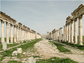 Apamea Apamea