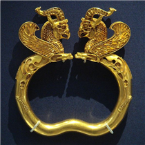 Bactria Bactria