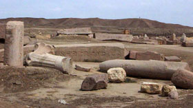 Tanis Tanis